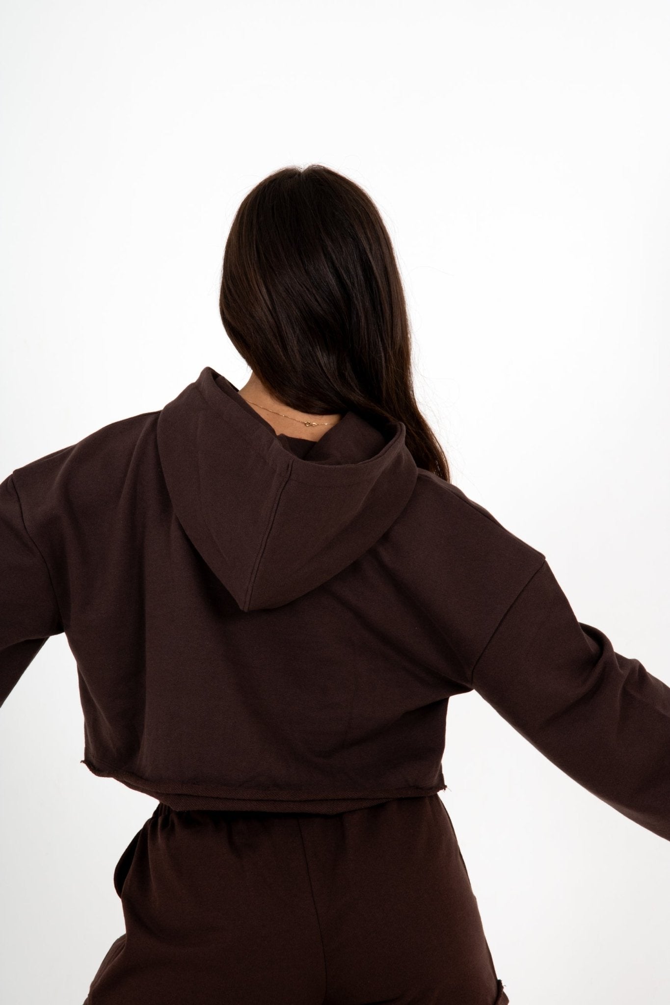 Brown Lnp Essential Cropped Hoodie - Liquor n Poker